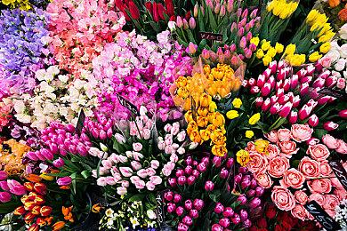 轰穿地心救世界？激爽动作肉鸽《核元突破！》公开！